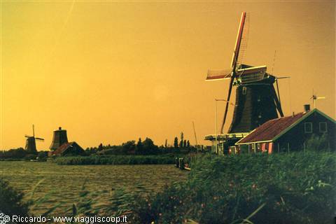 Windmills along the canal at Zaanse Schans, amber dusk light