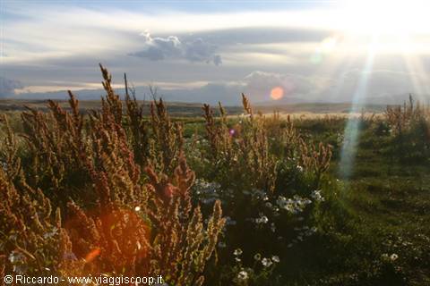 El Calafate