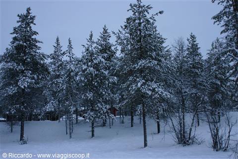 Saariselka - Kakslauttanen Village