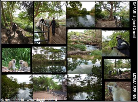 MZIMA SPRING with THOMAS MBOYA and AGENCY RAFIKI SAFARIS UK in WATAMU