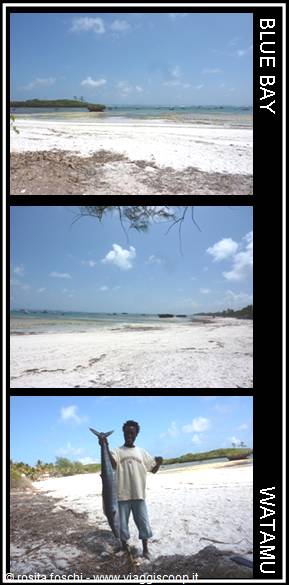 BLUE BAY in WATAMU