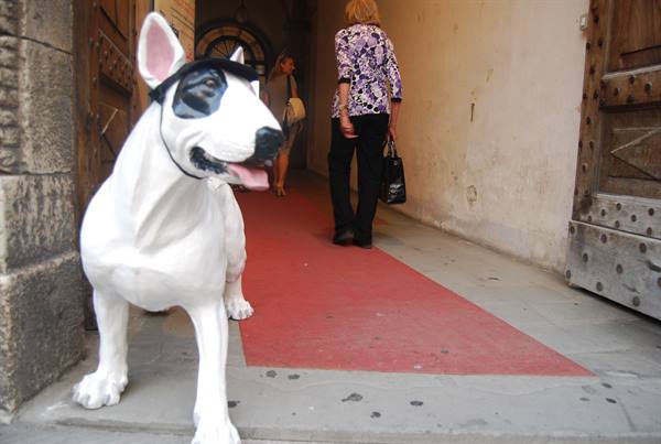 White bull terrier statue with eye patch at an old doorway