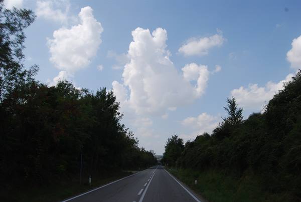 Straight asphalt road between green trees, large white clouds in blue sky