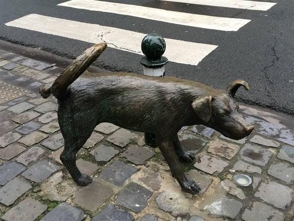 Chien qui pisse