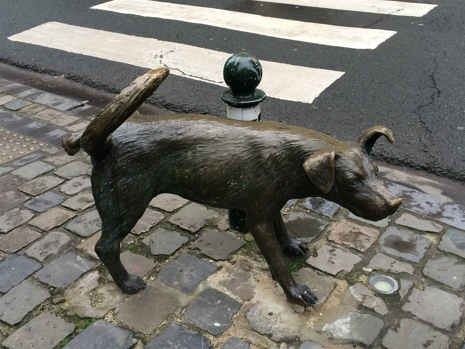 Chien qui pisse