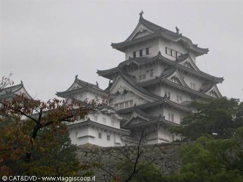 Himeji Castle white walls rising over autumn trees under gray sky