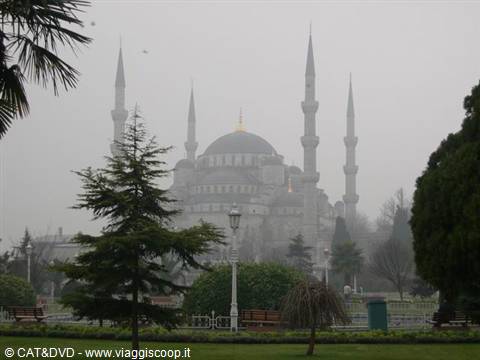 Blue Mosque in Istanbul shrouded in fog among pines and damp garden