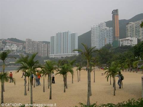 Tourists among palm trees at Repulse Bay beach, skyscrapers behind