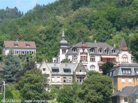 Historic villas with slate roofs amid lush green forest, Heidelberg