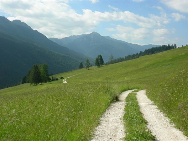 Dirt track winding through green alpine meadows toward forested mountains, cloudy sky