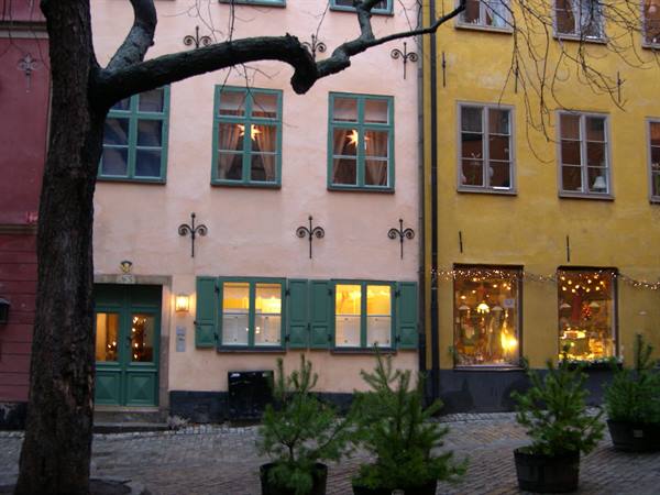 Stortorget square in Stockholm: colorful houses, lit windows and small Christmas trees on cobblestones
