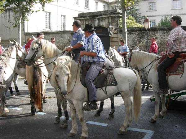Riders on white Camargue horses gathered in a French town square