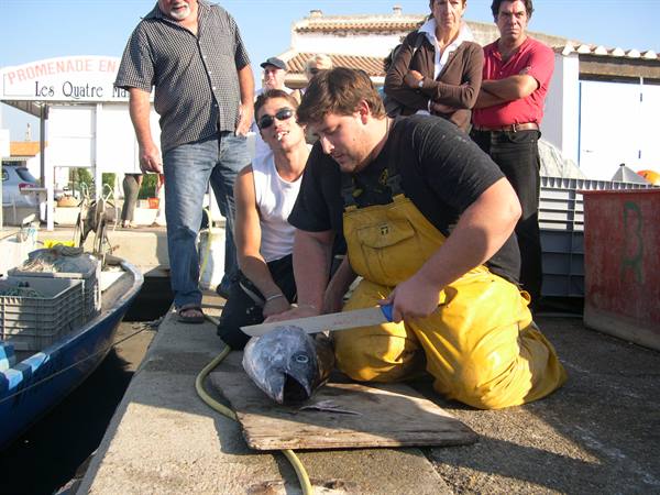 Fisherman in yellow overalls cuts a large fish on the dock, onlookers watching