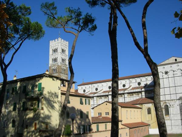 Lucca Cathedral and bell tower among pine trees under blue sky