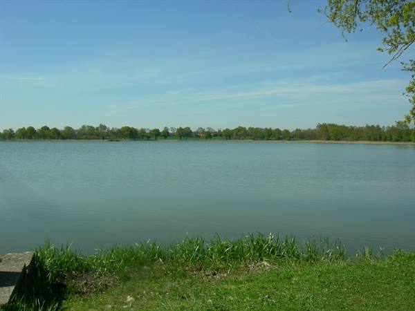 Calm lake with grassy shore and green trees under clear sky