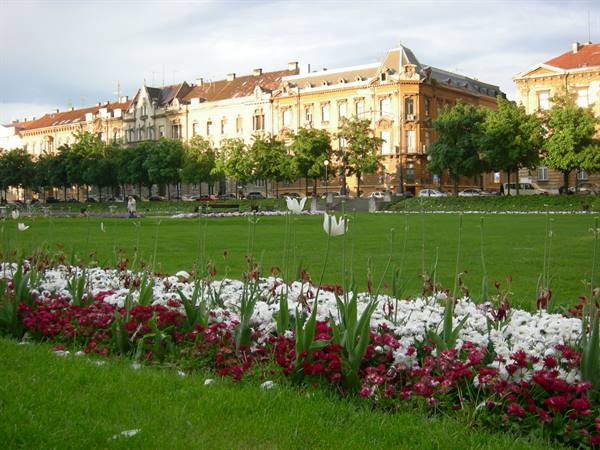 Red and white flowers in foreground, green lawn, historic buildings and trees in golden light