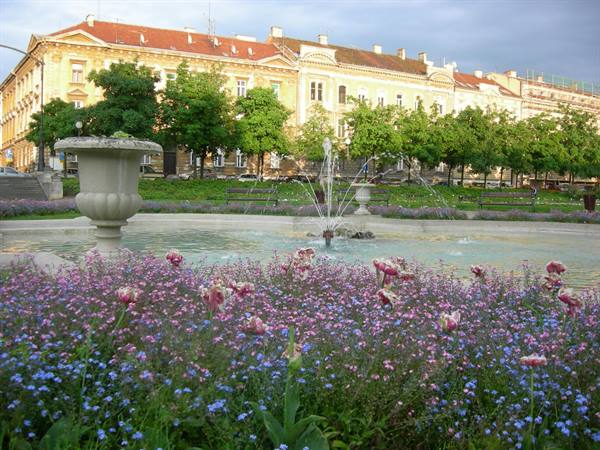 Stone fountain among pink and blue flowers, yellow buildings in Zagreb