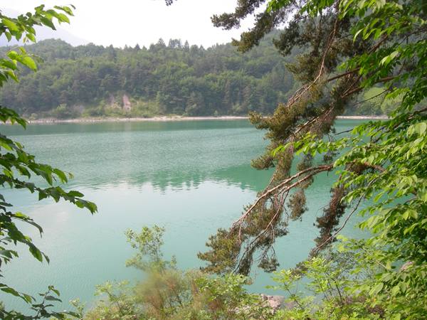 Green waters of Lake Tenno framed by pine branches