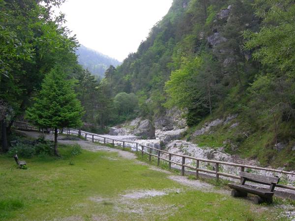 Wooden benches along a green path by a river with forested mountains
