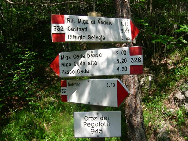 Red and white trail signs in the forest point to refuges and Passo Ceda