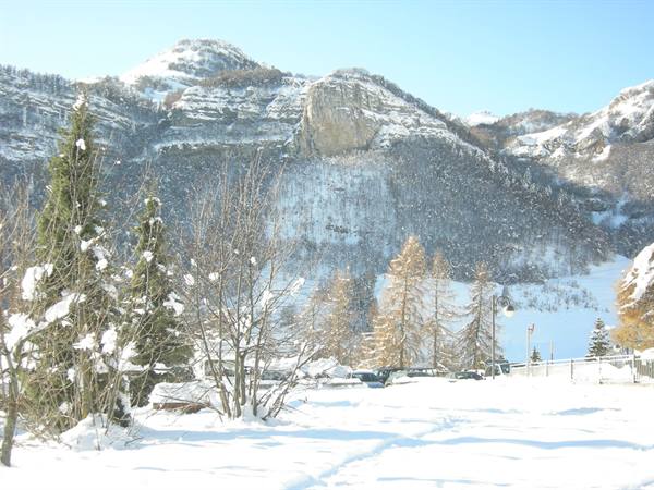 Snow-covered trees in front of sunlit rocky mountains, fresh snow in foreground