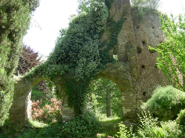 Medieval stone ruins covered in ivy and white flowers, surrounded by trees