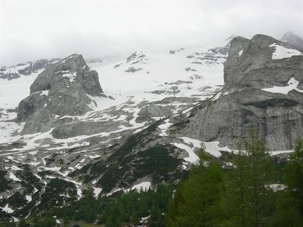 Dachstein glacier between limestone rocks and fog, green conifers in foreground