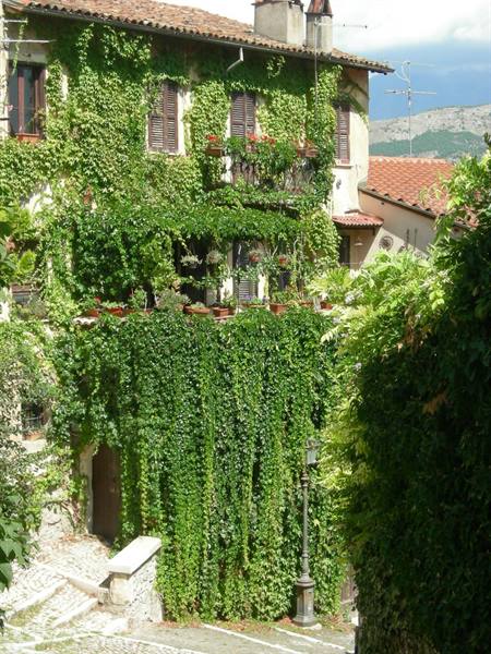 Ivy-covered stone house in an old Italian hillside village