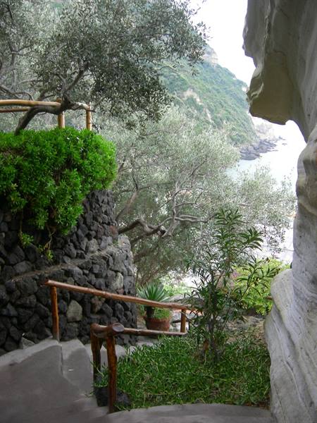 Stone steps with wooden handrail among olive trees and white rock by the sea