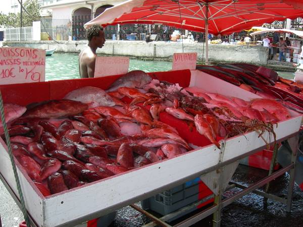 Fresh fish stall under red umbrella at Fort-de-France harbor