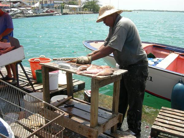 Fisherman in straw hat cleaning the catch on a wooden table at the dock