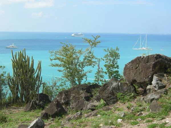 Cacti and dark rocks above turquoise sea with yachts and sailboat anchored
