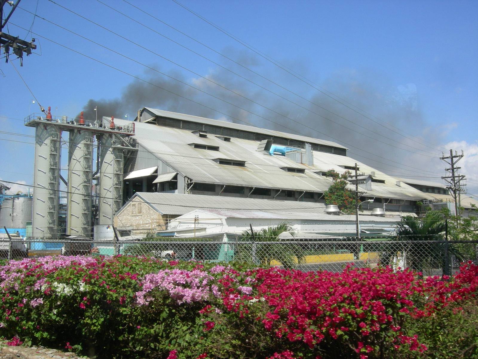 Metal-roofed factory emitting dark smoke, pink and red flowers in foreground