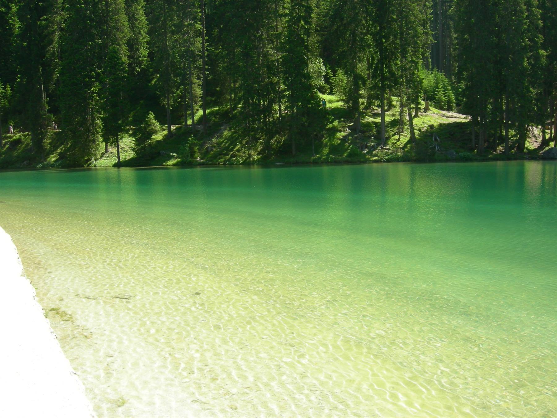 shades (braies)