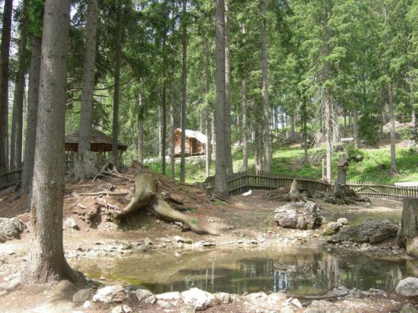 colfosco animal park