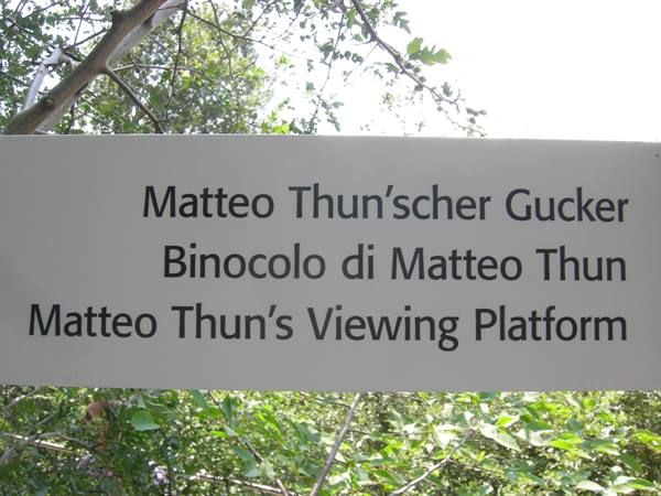 matteo's binoculars