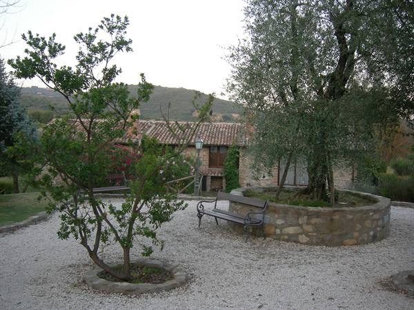 garden at home