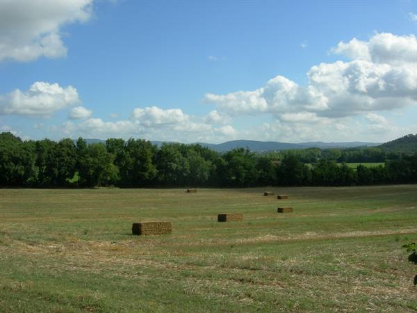 Hay bales scattered across a mown field under white clouds