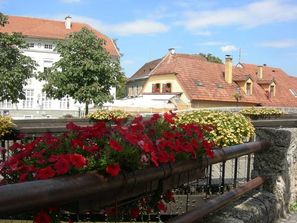 Red petunias on a wooden bridge, houses with red roofs, midday light