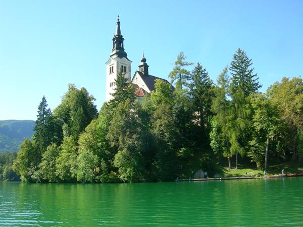 Church with bell tower above green trees, emerald Lake Bled under blue sky