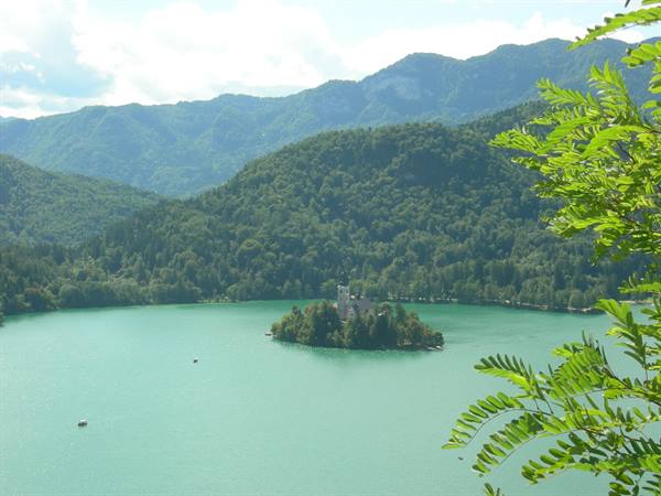 Church island on Lake Bled, forested mountains, green branches in foreground