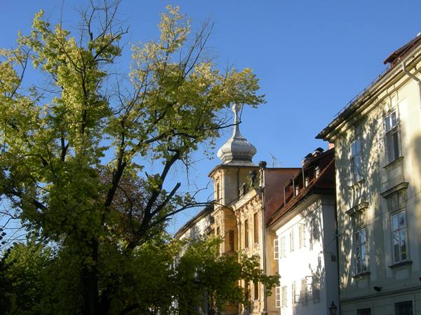 Blooming trees in front of baroque facades with onion dome tower under blue sky