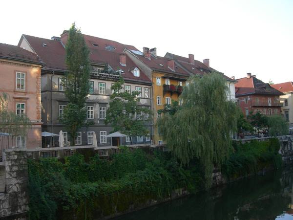 Old houses with red roofs along the Ljubljanica river, weeping willow, Ljubljana