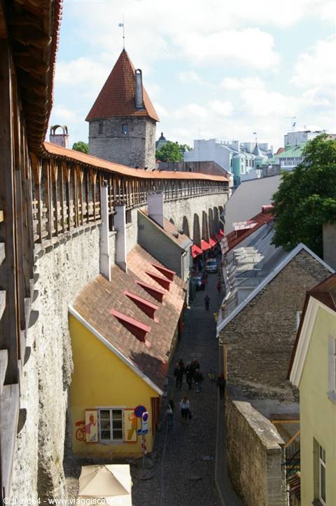 Medieval stone tower with red roof above Tallinn's old walls