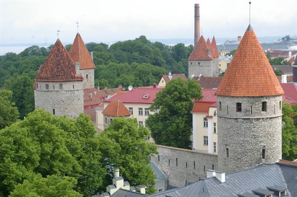 Medieval stone towers with red conical roofs among green trees, Tallinn