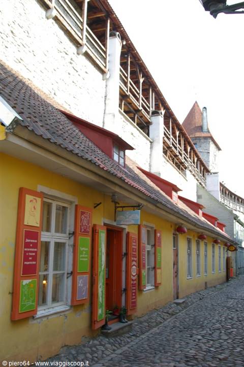 Yellow houses with red shutters beside Tallinn's medieval town wall