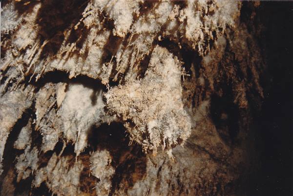 Limestone stalagmite columns inside a cave, lit by artificial side light