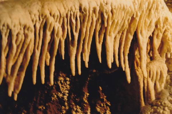 Limestone stalactites hang from the ceiling of a lit cave