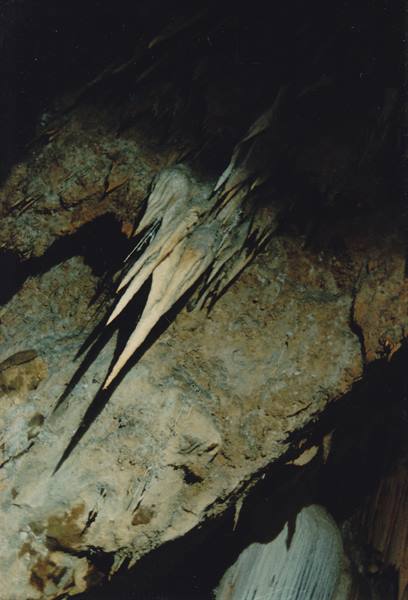 Sharp limestone stalactites hanging in a dim cave under artificial light