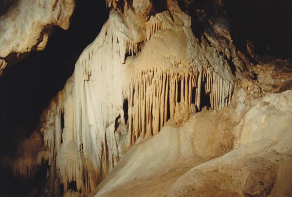 Limestone stalactite columns lit inside a cave